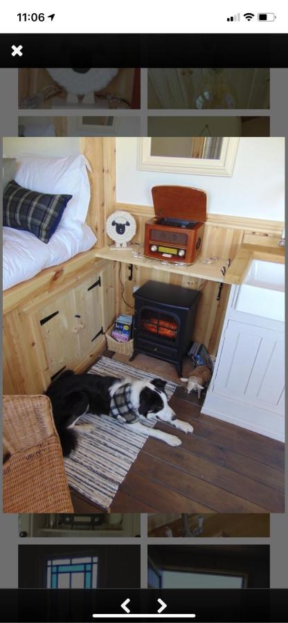 Sheepwash Shepherds Hut Bebside Exterior photo